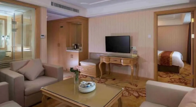 Люкс Deluxe Vienna Hotel -Yantian Harbor
