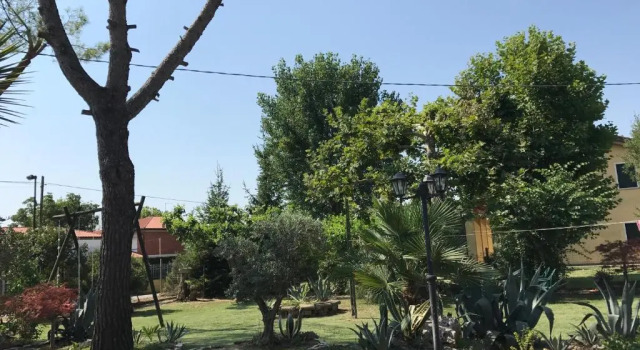 Коттедж Casa Algisa