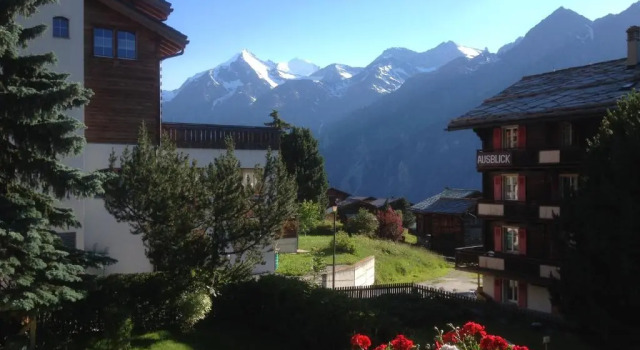 Appartamento apartment EFEU "mit stil & tradition"