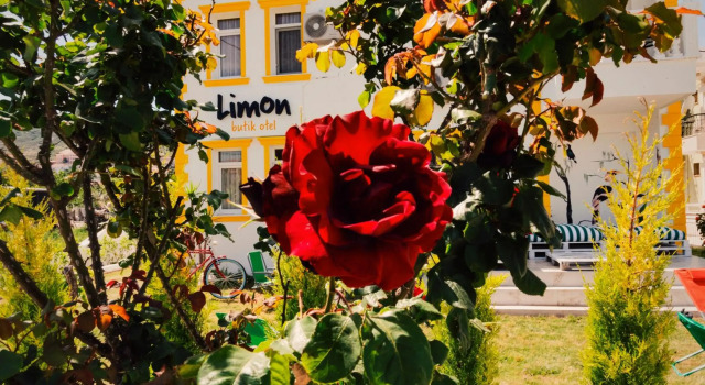 Limon Pansiyon, Rezerwuj Hotel Hotele w Foca ze śniadaniem, Śniadanie