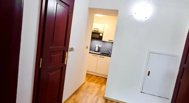 Апартаменты c 1 комнатой Cute Apartment Zborovska