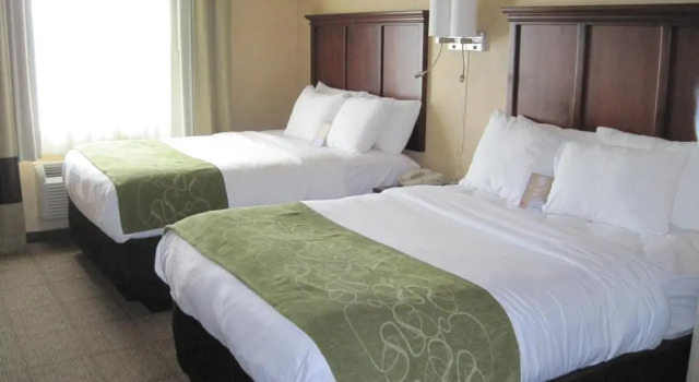 Четырёхместный номер Standard Comfort Suites Columbia - University Area