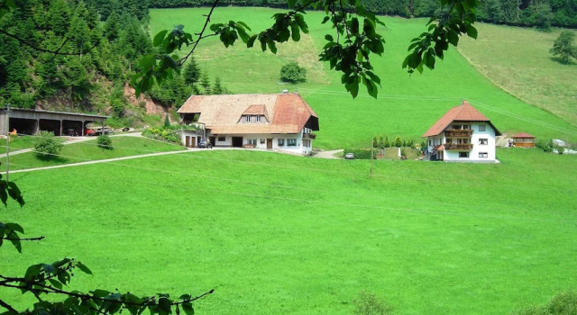 Апартаменты Black Forest Farmhouse in Charming Location