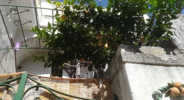 Antico Casale Ischitano, Buchen Sie Hotel Ischia Ischia