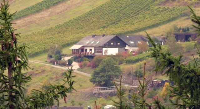 Weingut & Gästehaus Sonnenhof, Забронировать Отель Оберхаймбах Долина Среднего Рейна