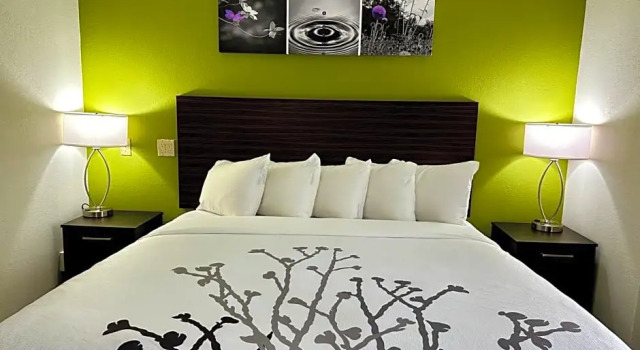 Camera Standard Sleep Inn Savannah Gateway I-95