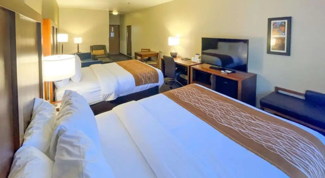 Семейный номер Standard Comfort Inn & Suites Midtown