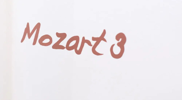 Апартаменты Мансарда с 2 комнатами Residence Mozart by Welcome to Salzburg