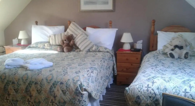 Номер Deluxe Springfield B&B
