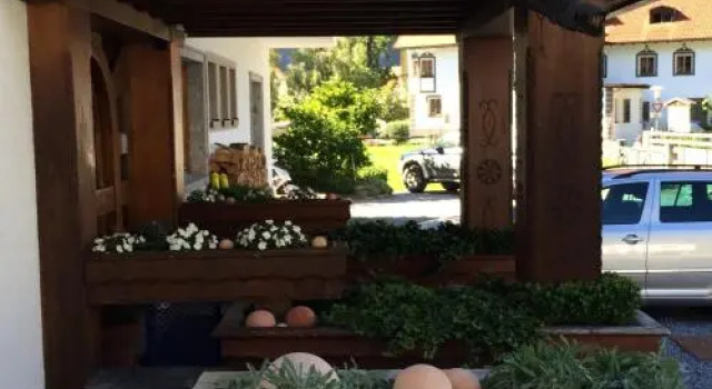 Pension Garni Gemse, Book Hotel Zams Inntal
