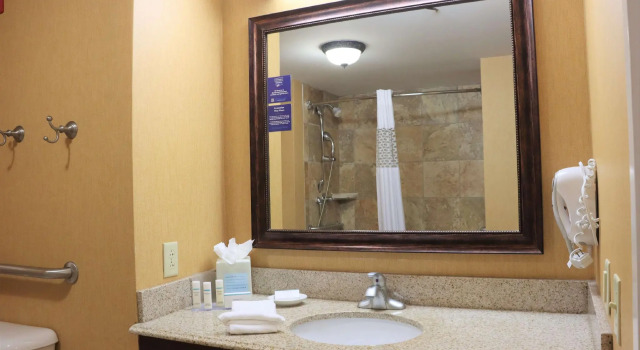 Четырёхместный номер Standard Hampton Inn & Suites Thibodaux