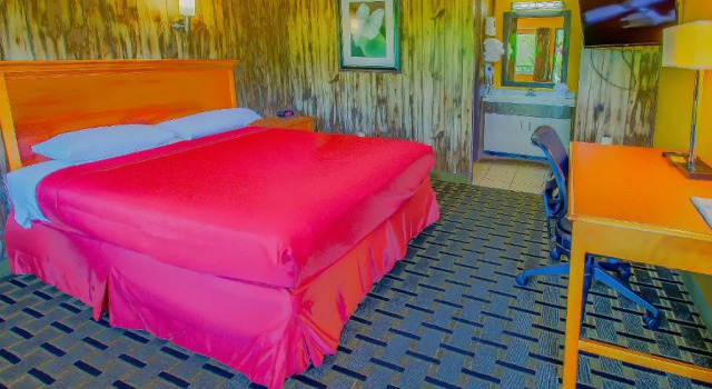 Двухместный номер Tennessee Mountain Lodge Riverside by OYO
