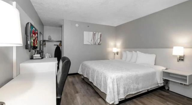 Двухместный номер Business Quality Inn Orlando Near International Drive