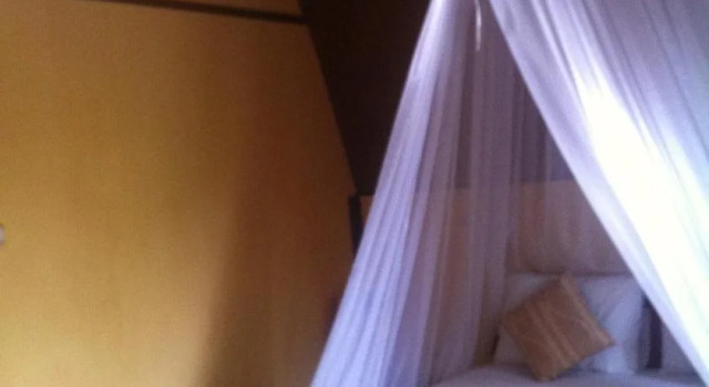 Turtle Bungalow, Book Hotel Hotels in Lombok with Parking, Parking