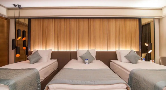 Трёхместный номер Bayır Diamond Hotel & Convention Center Konya