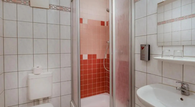 Одноместный номер Standard Hotel Zur Burg GmbH