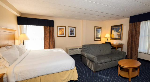 Suite doppia 1 camera da letto Wingate by Wyndham Waynesboro