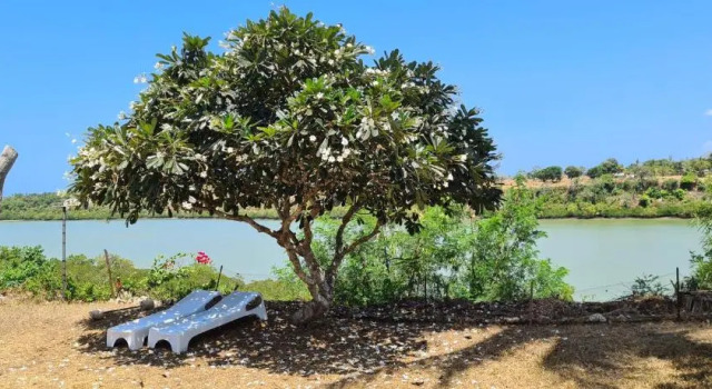 Коттедж с 3 комнатами Creek paradise cottage