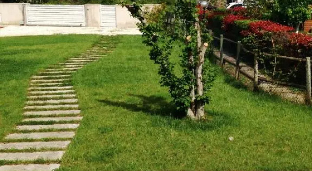 Steccaia Holiday Home