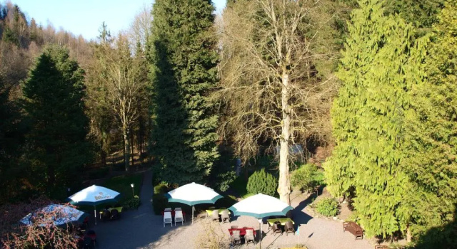 Апартаменты Waldhotel Lemberg