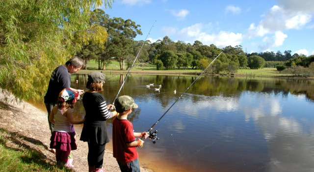 Diamond Forest Farm Stay, Buchen Sie Bauernhof Manjimup Western Australia