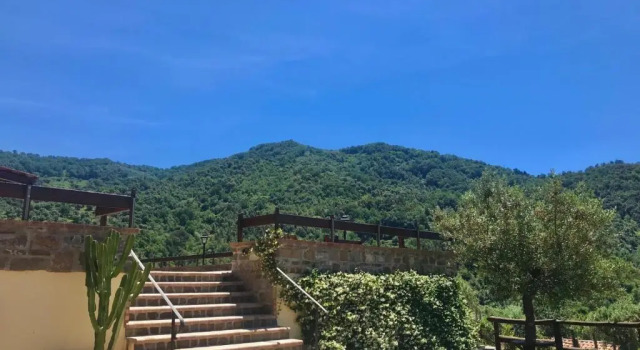 Двухместный номер Standard Agriturismo Piano di Andrea