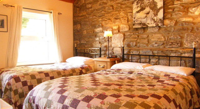 Druid Cottage, Buchen Sie Ferienhaus Villen in Munster, Villa