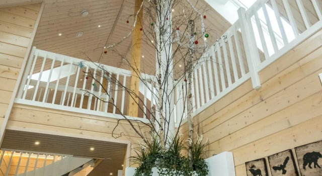 Aurora Kuohunki in Kuohunki, Buchen Sie Hotel Hotels in Lappland mit Parkplatz, Parkplätze