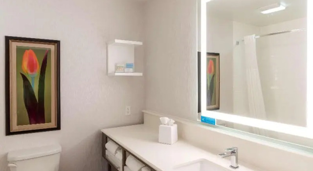 Двухместный номер Standard с балконом Hampton Inn Holland