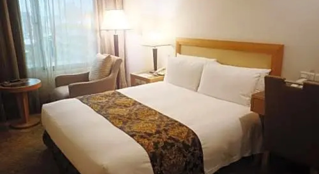 Одноместный номер Standard Golden China Hotel