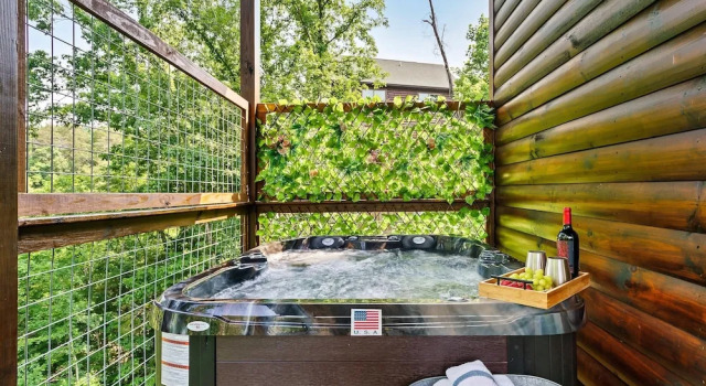 Номер Standard Eagle Splash Vista| Pool Projector, Pet Friendly, Game Room