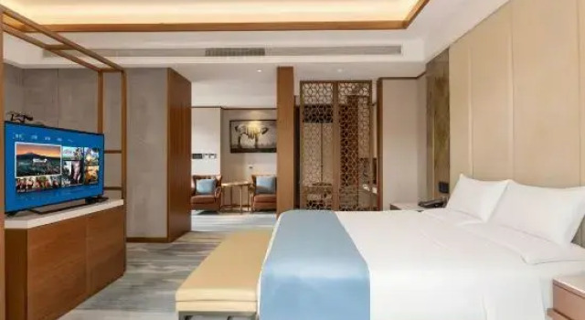 Люкс Executive Tanyue Hotel (Wuxi Sanyang Plaza)