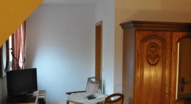 Номер Standard Hotel-Restaurant Elsterblick