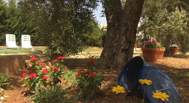 Коттедж Cortijo el llano
