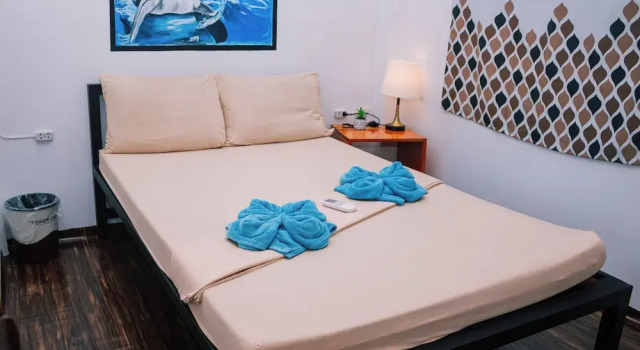 Номер Standard Ananas Guesthouse