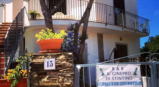 il Ginepro di Stintino