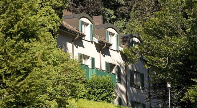Одноместный номер Standard Hotel Schloss Ragaz