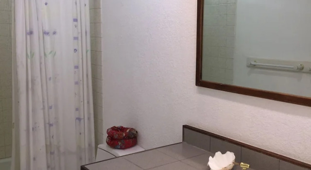 Номер Standard Lava Tree Tropic Inn