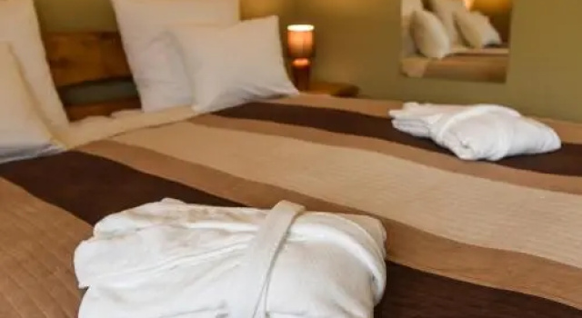 SPA Apartment Parkowy