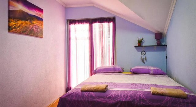 Classique chambre Goldy Hostel