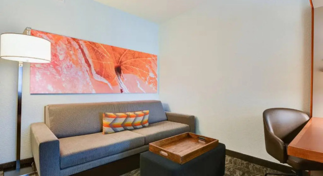 Студия SpringHill Suites Shreveport-Bossier City/Louisiana Downs