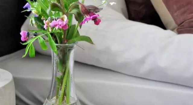 Семейный номер Standard Snöå Bruk Hotell och konferens