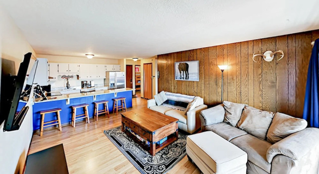 Enthusiasts Dream Condo #s303 2 Bedrooms 2 Bathrooms Condo, Rezerwuj Apartament Dillon Vail Ski