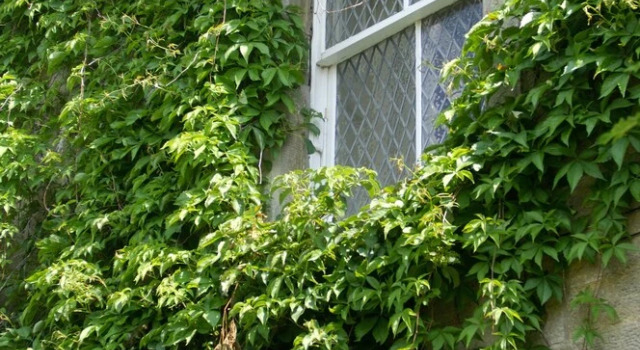 Traquair Arms Hotel, Забронировать Отель Отели Шотландских границ с парковкой, Парковка