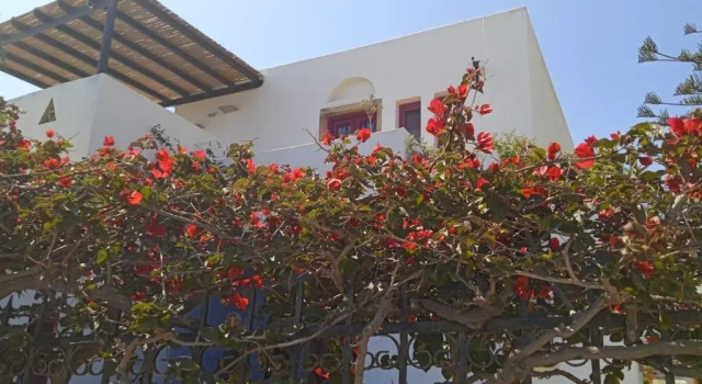 Апартаменты с видом на море Nefeli Hotel Leros