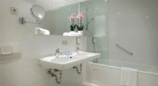 Двухместный номер Standard Hotel Regent