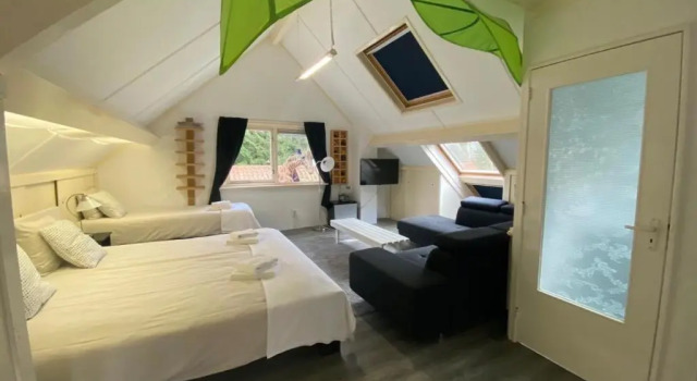 Семейный номер Standard Hotel 1900