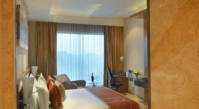 Номер Business Radisson Blu Kaushambi Delhi NCR