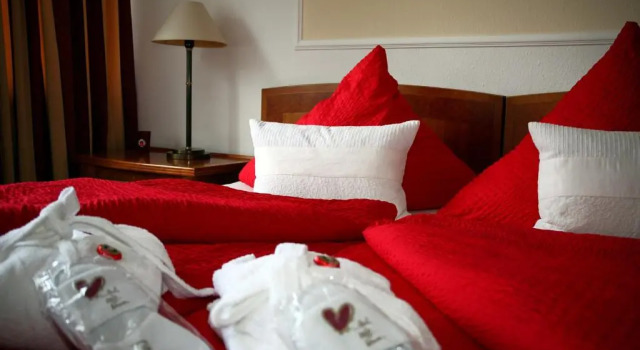 Двухместный номер Comfort Hotel Antares