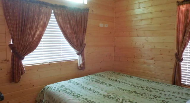 Номер Deluxe Snake River Cabin Village